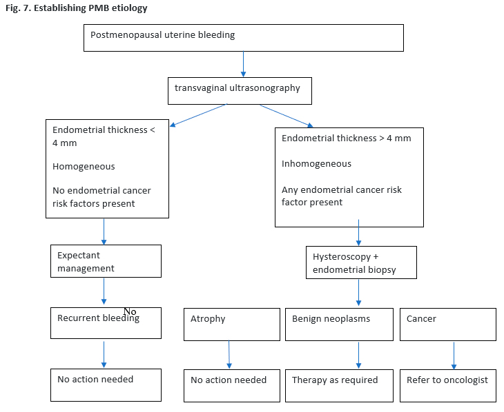 Diagnostic pathway for women presenting with postmenopausal